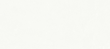 JS 29021 銀裝素裹